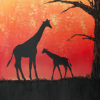 Screen shot 2011-11-18 at 10.00.32 AM copy