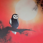 Screen shot 2012-01-04 at 4.11.27 PM