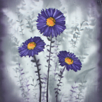 Screen shot 2011-11-06 at 5.15.47 PM copy